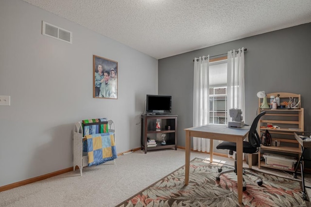 10465 172nd Ln NW, Elk River, MN 55330 - carpeted home office with a textured ceiling and baseboards