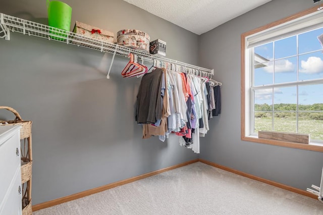 10465 172nd Ln NW, Elk River, MN 55330 - spacious closet featuring carpet flooring