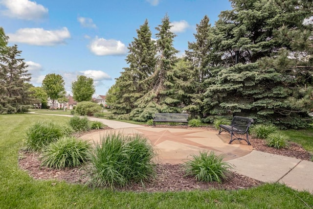 10465 172nd Ln NW, Elk River, MN 55330 - view of community with a patio