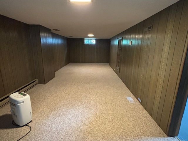 912 Arnold Ave N, Thief River Falls, MN 56701 - below grade area featuring wood walls and light colored carpet