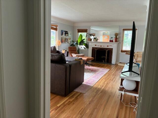 4901 Bryant Ave S, Minneapolis, MN 55419 - living area featuring light wood-style flooring and a fireplace with flush hearth