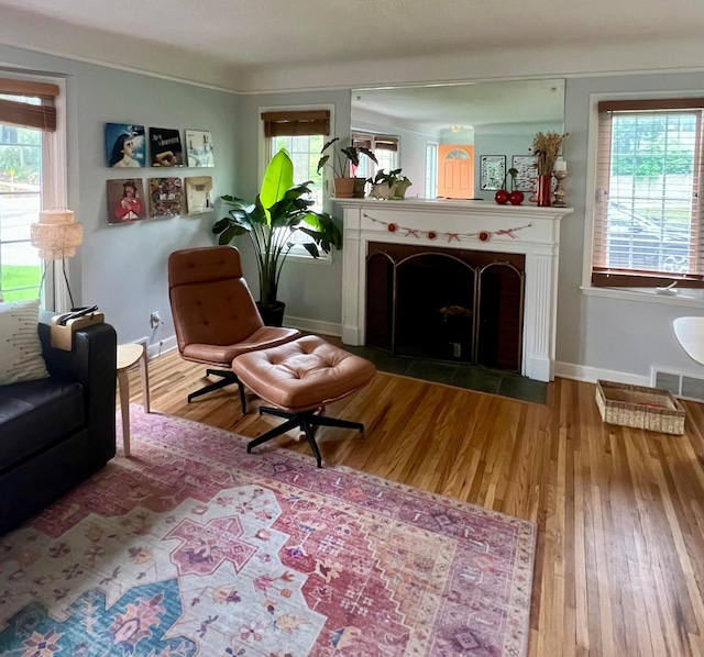 4901 Bryant Ave S, Minneapolis, MN 55419 - living area with a fireplace with flush hearth, wood finished floors, and healthy amount of natural light