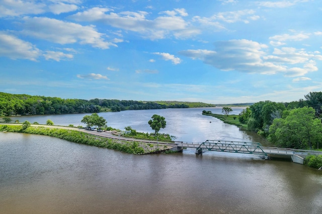 10455 Glenbrook Ave S, Cottage Grove, MN 55016 - water view featuring a heavily wooded area