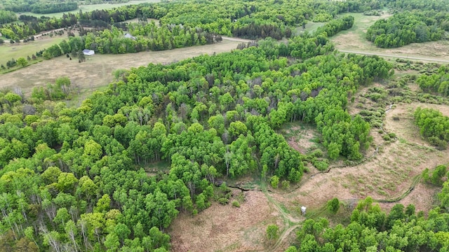 20470 220th St, Verndale, MN 56481 - view of rural area