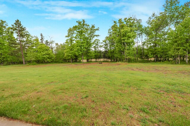 20470 220th St, Verndale, MN 56481 - view of grassy yard