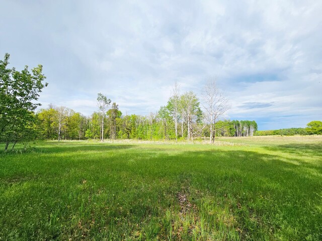 20470 220th St, Verndale, MN 56481 - view of yard