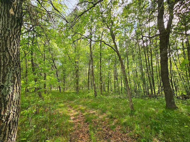 20470 220th St, Verndale, MN 56481 - view of wooded area
