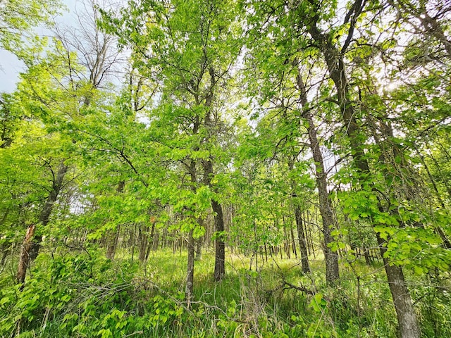 20470 220th St, Verndale, MN 56481 - view of wooded area