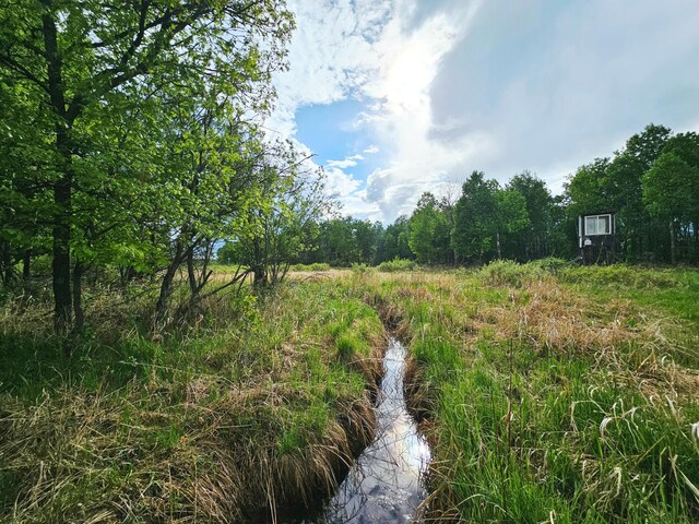20470 220th St, Verndale, MN 56481 - view of undeveloped land