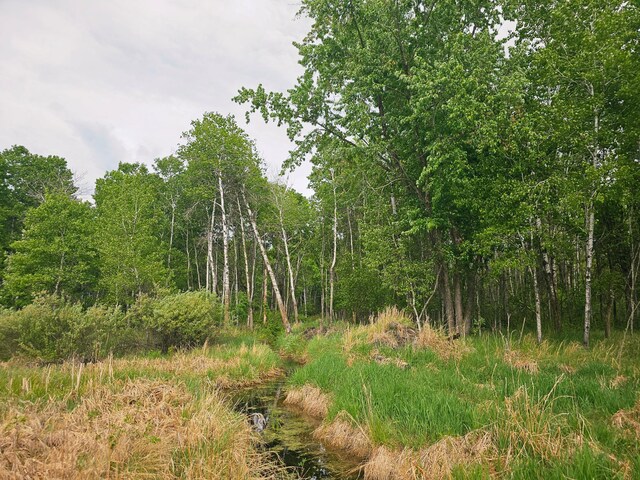 20470 220th St, Verndale, MN 56481 - view of undeveloped land