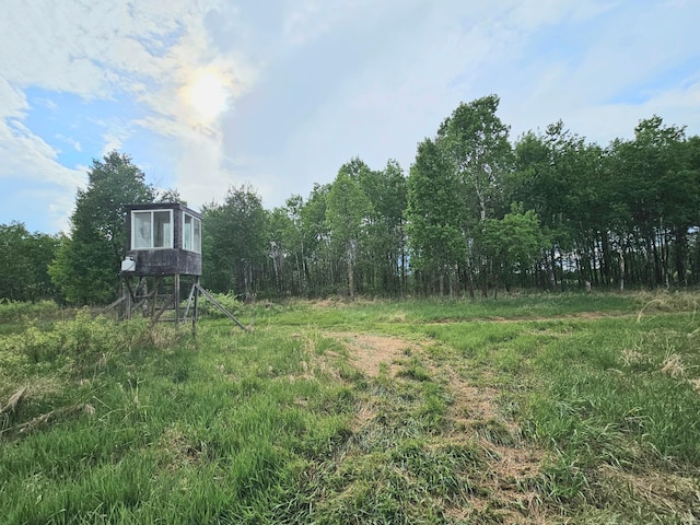 20470 220th St, Verndale, MN 56481 - view of yard