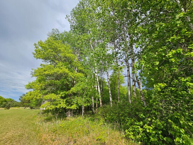 20470 220th St, Verndale, MN 56481 - view of nature