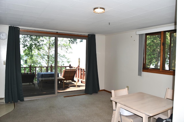 23735 Clarissa Haven Dr, Henning, MN 56551 - photo 28