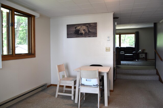 23735 Clarissa Haven Dr, Henning, MN 56551 - photo 34