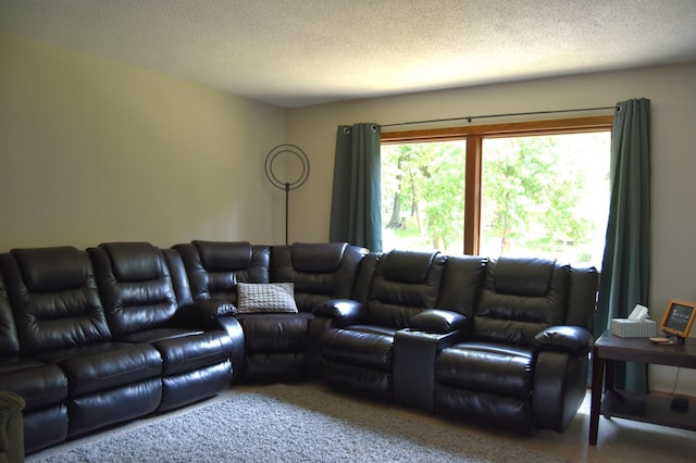 23735 Clarissa Haven Dr, Henning, MN 56551 - photo 36