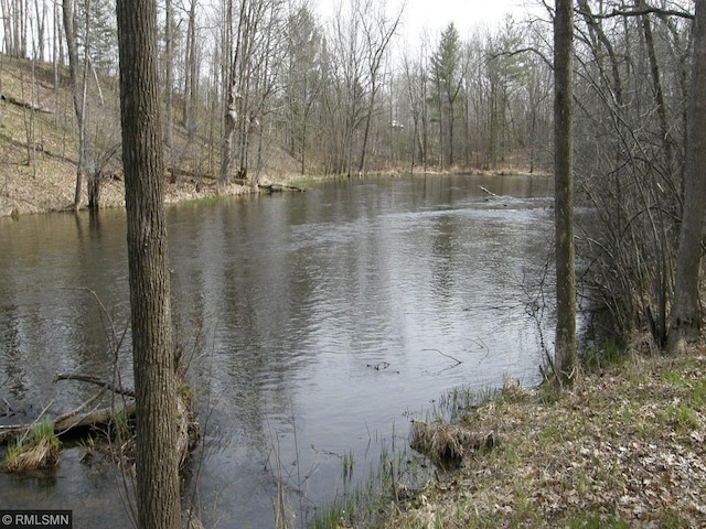 33688 416th Ave, Farm Island Twp, MN 56431 - water view featuring a heavily wooded area