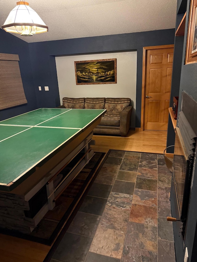 33688 416th Ave, Farm Island Twp, MN 56431 - rec room with a textured ceiling and stone finish floors