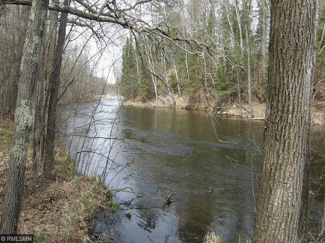 33688 416th Ave, Farm Island Twp, MN 56431 - water view