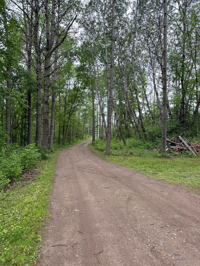33688 416th Ave, Farm Island Twp, MN 56431 - view of dirt / gravel road with a view of trees