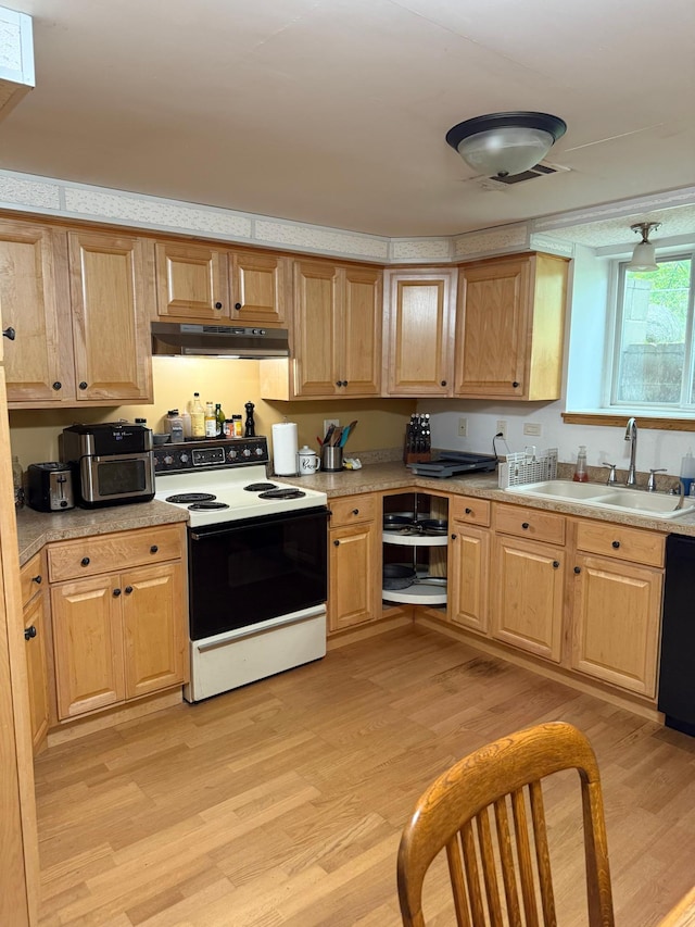 33688 416th Ave, Farm Island Twp, MN 56431 - kitchen featuring electric stove, a sink, light wood-style floors, dishwasher, and light countertops