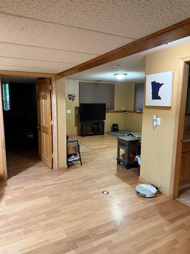 33688 416th Ave, Farm Island Twp, MN 56431 - basement with light wood-style floors