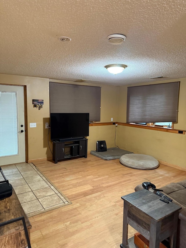 33688 416th Ave, Farm Island Twp, MN 56431 - living room with light wood finished floors and a textured ceiling