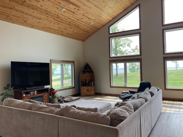 51509 County Highway 9, Scambler Twp, MN 56572 - living area featuring high vaulted ceiling, healthy amount of natural light, baseboards, wood finished floors, and wood ceiling