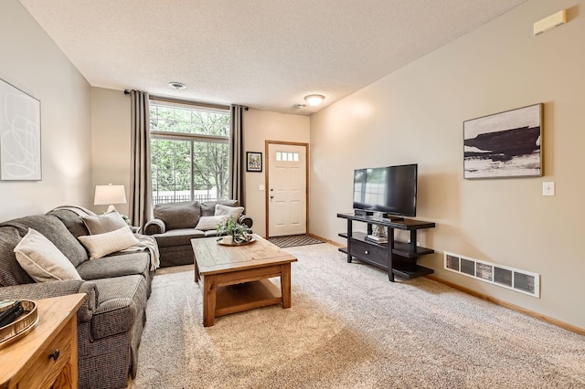 17673 96th Ave N, Maple Grove, MN 55311 - living room featuring a textured ceiling, light colored carpet, and baseboards