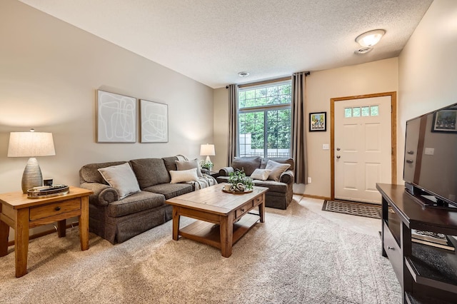 17673 96th Ave N, Maple Grove, MN 55311 - living area featuring light carpet and a textured ceiling