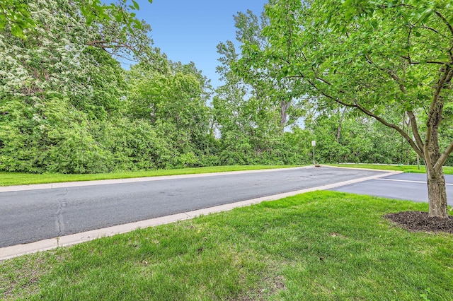 17673 96th Ave N, Maple Grove, MN 55311 - view of asphalt street