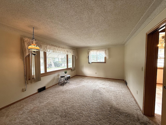 1620 4th St, Montevideo, MN 56265 - empty room with carpet and a textured ceiling