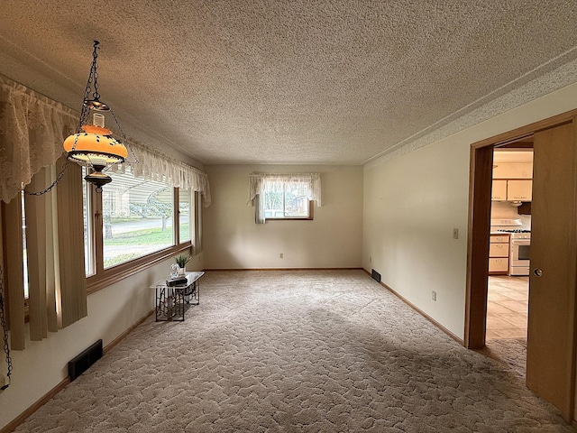 1620 4th St, Montevideo, MN 56265 - unfurnished room with light carpet, a textured ceiling, and baseboards