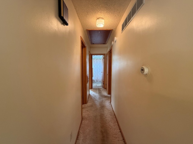 1620 4th St, Montevideo, MN 56265 - hall with a textured ceiling and carpet