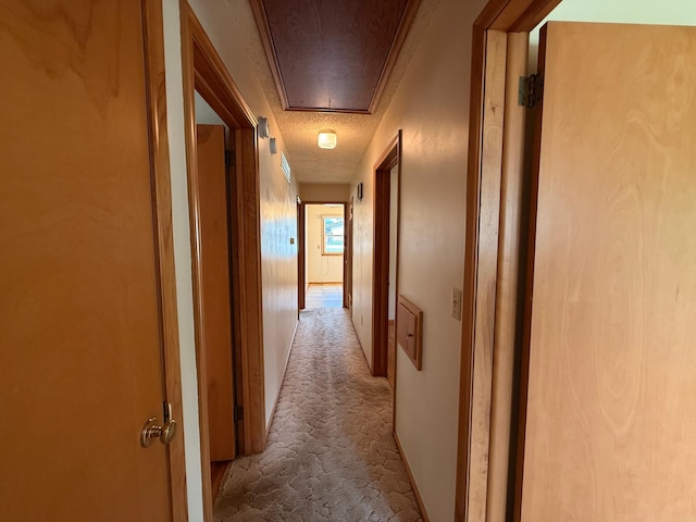 1620 4th St, Montevideo, MN 56265 - hall featuring carpet, attic access, and a textured ceiling