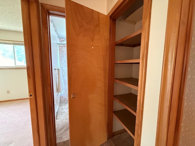 1620 4th St, Montevideo, MN 56265 - view of closet