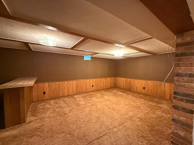 1620 4th St, Montevideo, MN 56265 - finished below grade area with carpet floors, wooden walls, and a wainscoted wall
