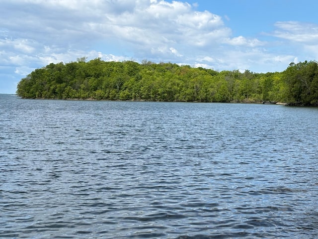 TBD Tbd, Boy Lake Twp, MN 56655