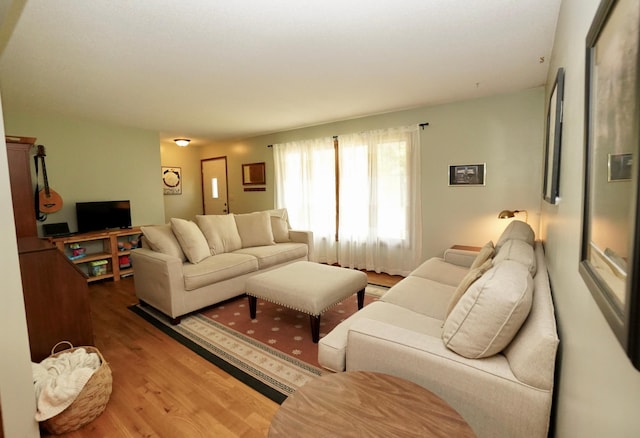 2805 12th Ave NW, Willmar, MN 56201 - living room featuring wood finished floors