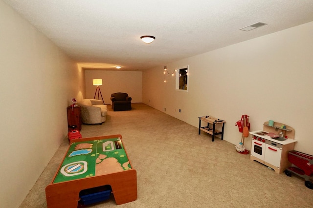 2805 12th Ave NW, Willmar, MN 56201 - game room with carpet flooring