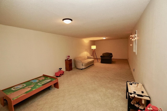 2805 12th Ave NW, Willmar, MN 56201 - playroom with carpet