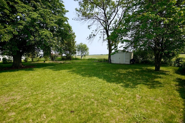 2805 12th Ave NW, Willmar, MN 56201 - view of grassy yard
