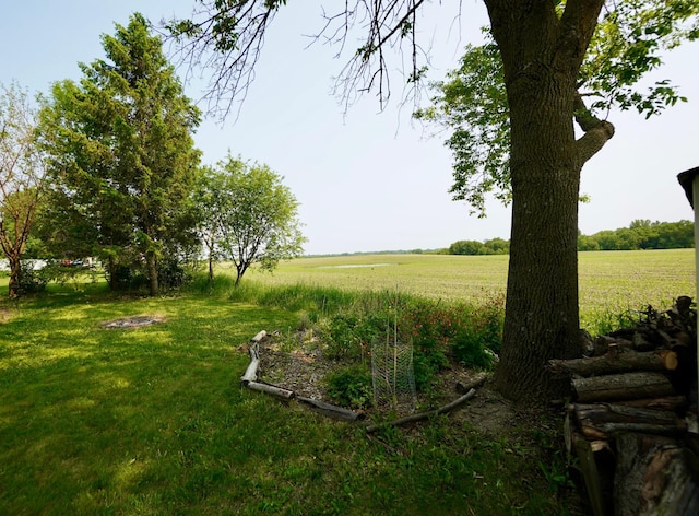 2805 12th Ave NW, Willmar, MN 56201 - view of green lawn featuring a rural view