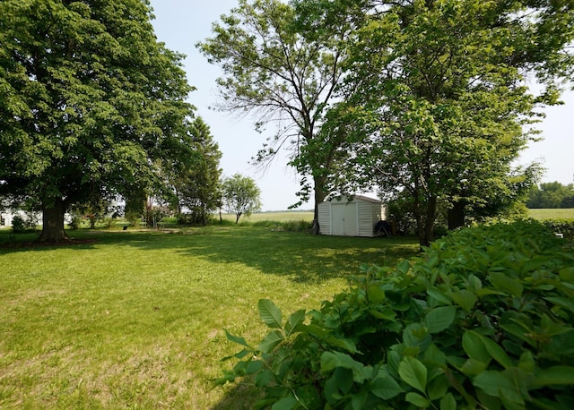 2805 12th Ave NW, Willmar, MN 56201 - view of green lawn