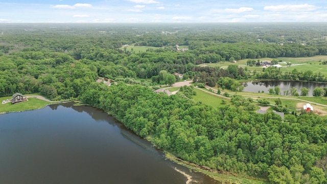 22774 Olivine St NW, Nowthen, MN 55330 - bird's eye view of a nearby body of water and a forest