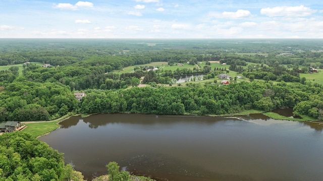 22774 Olivine St NW, Nowthen, MN 55330 - bird's eye view of a large body of water and a forest