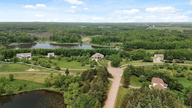 22774 Olivine St NW, Nowthen, MN 55330 - aerial overview of property's location featuring a nearby body of water and a heavily wooded area
