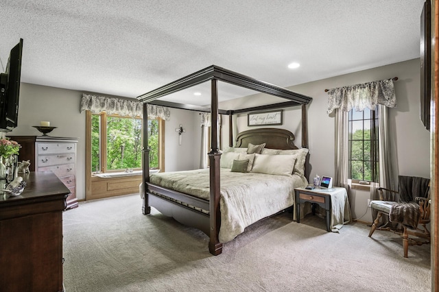 22774 Olivine St NW, Nowthen, MN 55330 - bedroom featuring carpet, a textured ceiling, and recessed lighting