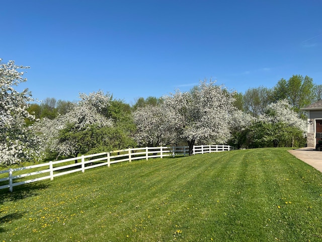 22774 Olivine St NW, Nowthen, MN 55330 - view of yard