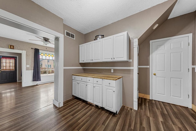 300 Ellington St, West Concord, MN 55985 - kitchen featuring dark wood-type flooring, white cabinets, ceiling fan, baseboards, and a textured ceiling