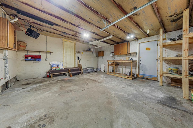 300 Ellington St, West Concord, MN 55985 - basement with a workshop area